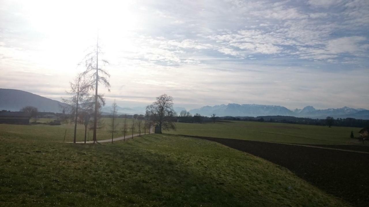 Ferienwohnung An Der Idyllischen Salzachschleife Naehe Salzburg Laufen Buitenkant foto